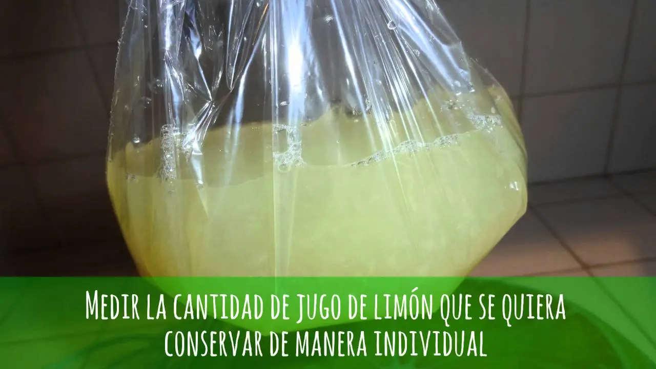 Cuánto dura el jugo de limón exprimido en la heladera - Cómo conservar el jugo de limón en el refrigerador cuanto dura el jugo de limon exprimido en la heladera - Cómo conservar el jugo de limón en el refrigerador