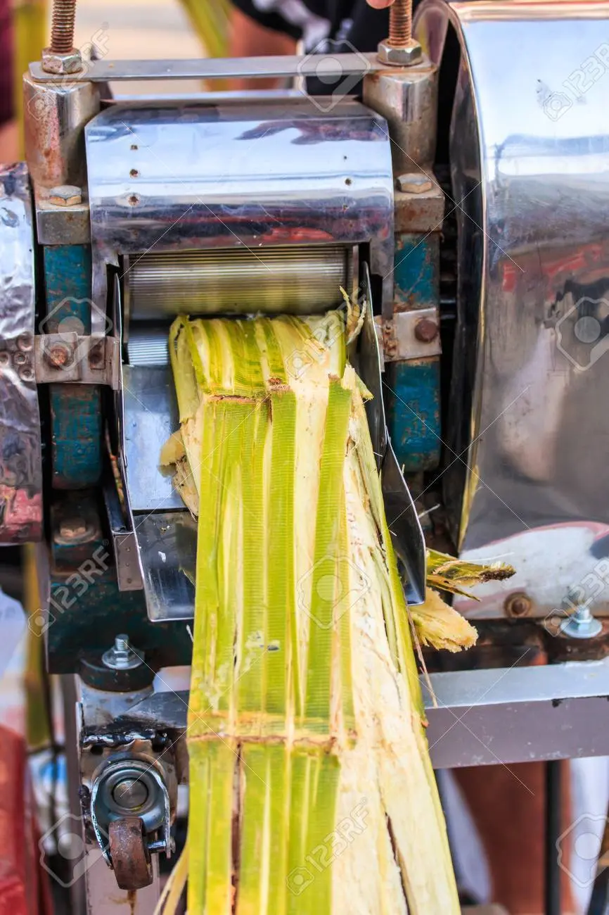 Extracción de jugo de caña: proceso y beneficios - Cómo extraer el jugo de la caña extracción de jugo de caña - Cómo extraer el jugo de la caña