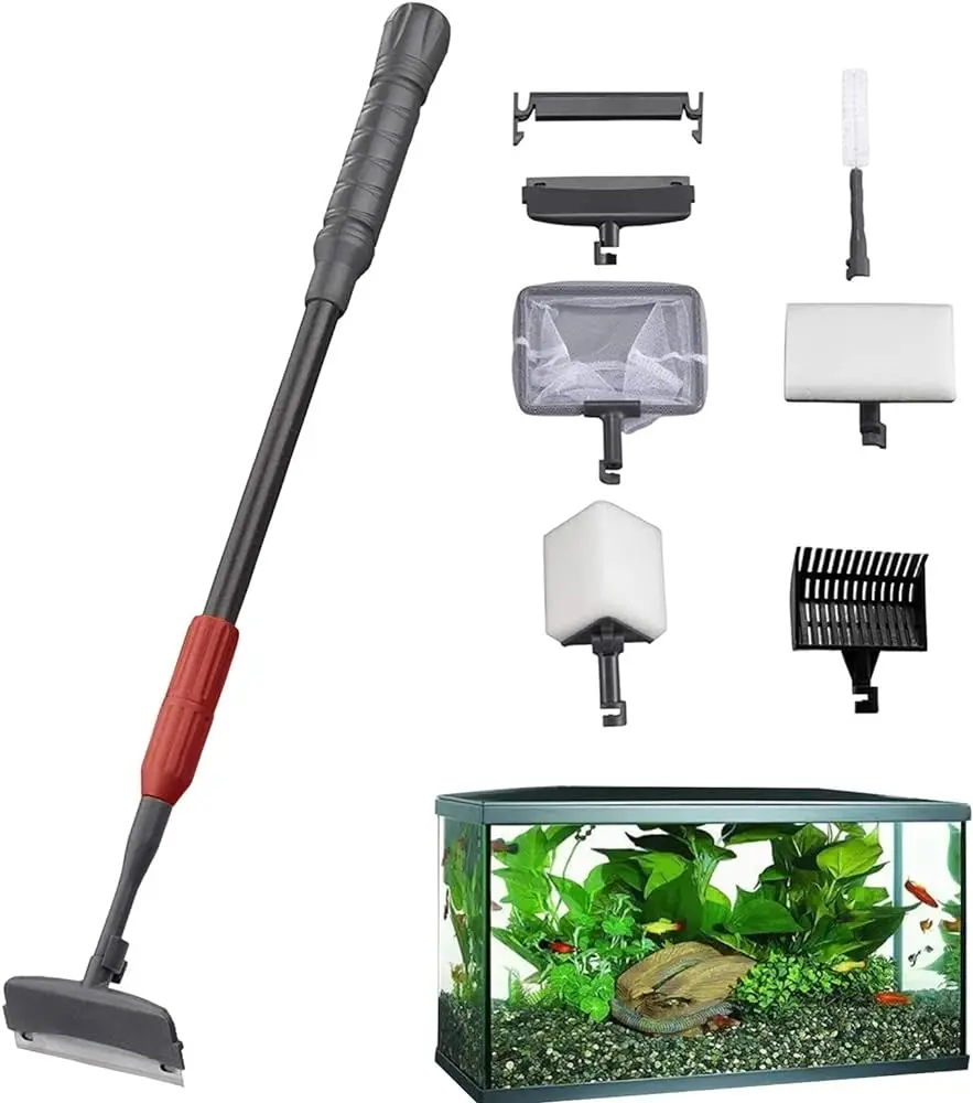 Juegos de limpiar peceras: mantén tu acuario impecable - Cómo hacer para mantener limpia el agua de mi pecera juegos de limpiar peceras - Cómo hacer para mantener limpia el agua de mi pecera