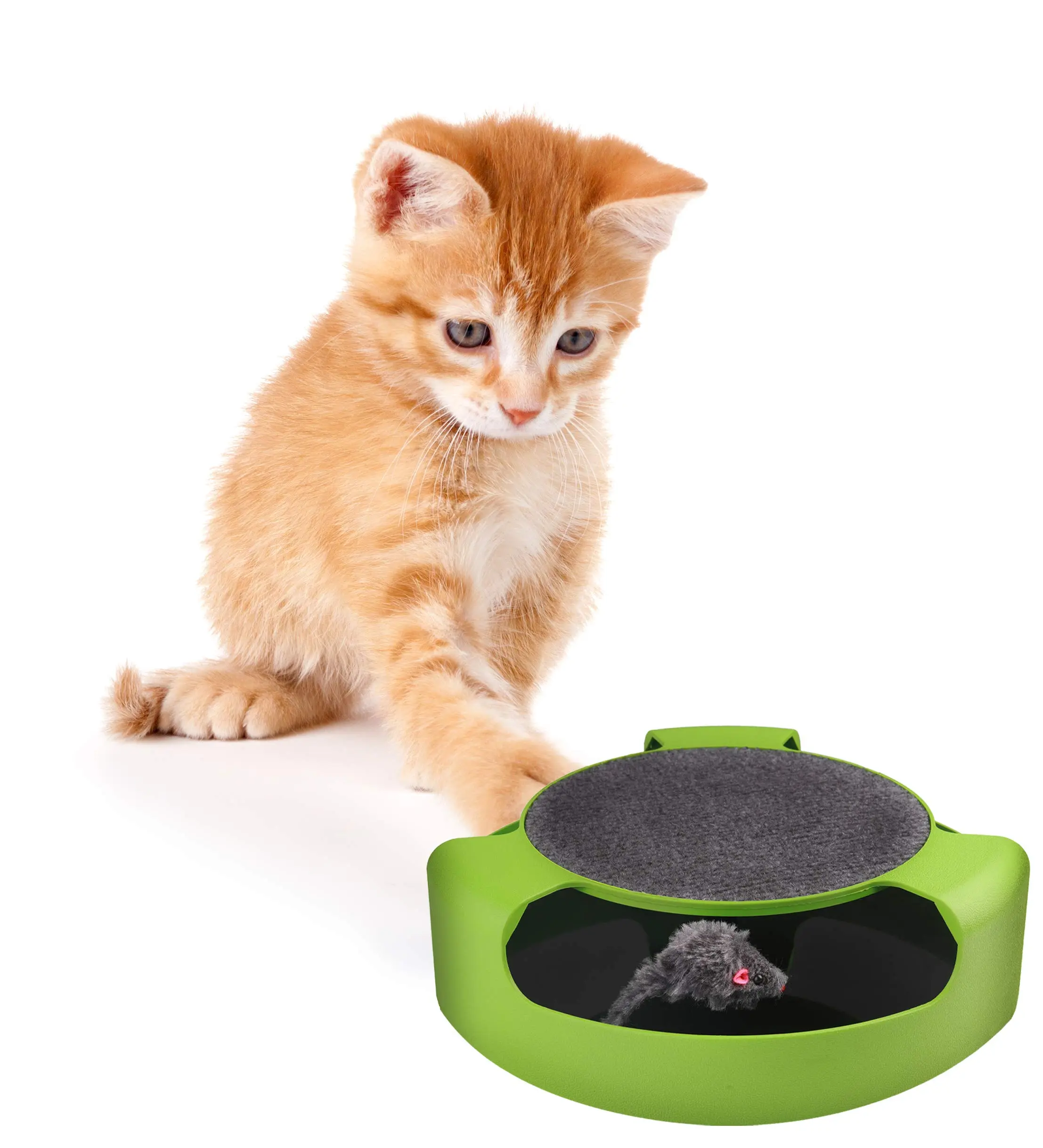 atrapa al raton juego para gatos - Cómo hacer que un gato atrapa ratones