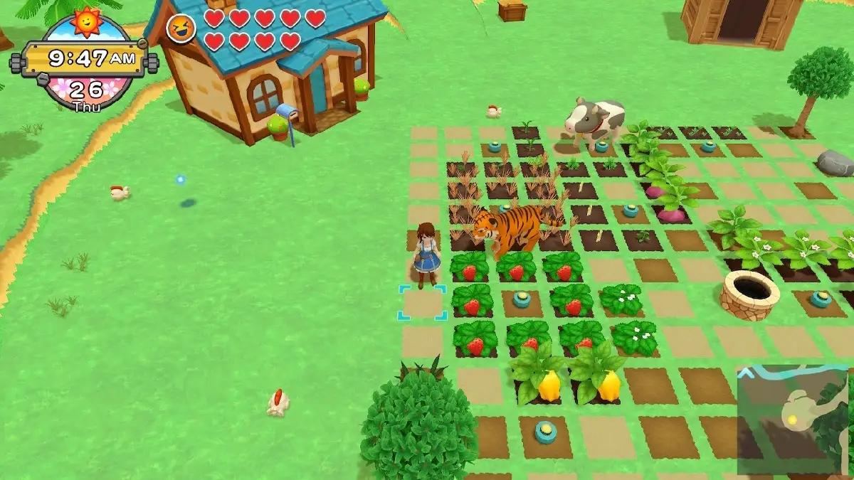 juegos de cultivar plantas - Cómo podemos cultivar plantas