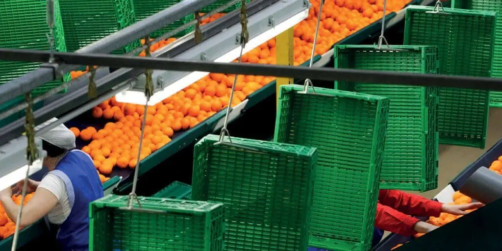 acidez en jugo de naranja - Cómo quitar la acidez del jugo de naranja