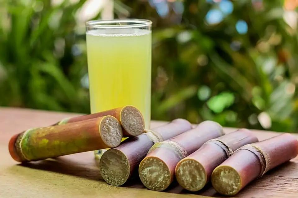 Composición del jugo de caña - Cómo se compone la caña composicion del jugo de caña - Cómo se compone la caña