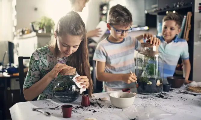 juegos de cultivar plantas - Cómo se cultivan las plantas para niños