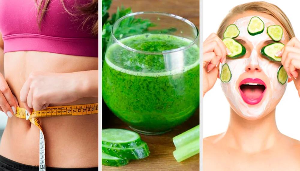 Jugo de Pepino: Beneficios, Preparación y Recetas - Cómo se debe tomar el jugo de pepino jugo de pepino - Cómo se debe tomar el jugo de pepino