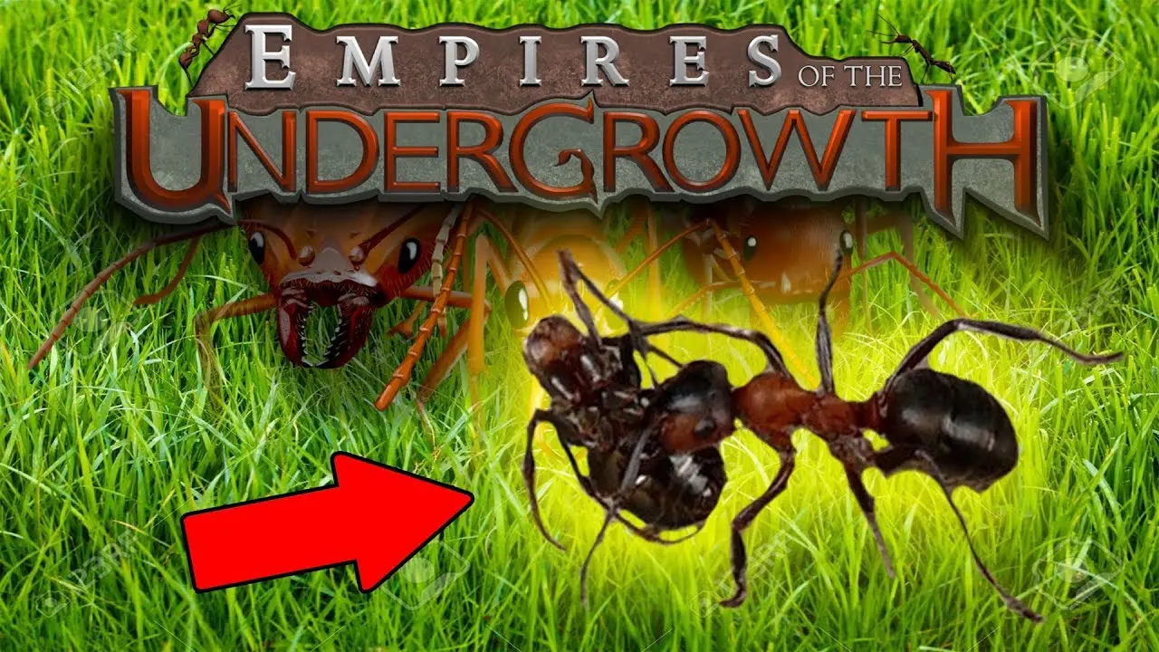 juegos de guerra de hormigas y arañas - Cómo se llama el juego de las hormigas