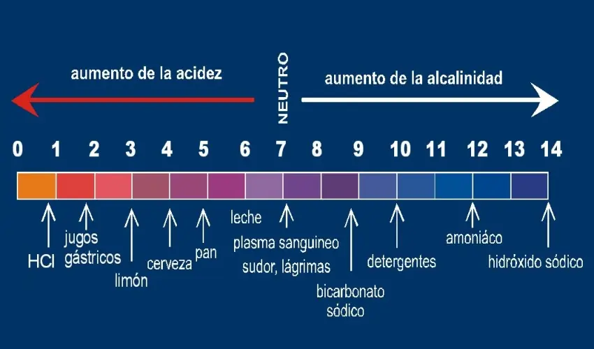 Jugos gástricos pH: ¿Qué son y cómo afectan la digestión? - Cuál es el pH de el jugo gástrico jugos gastricos ph - Cuál es el pH de el jugo gástrico