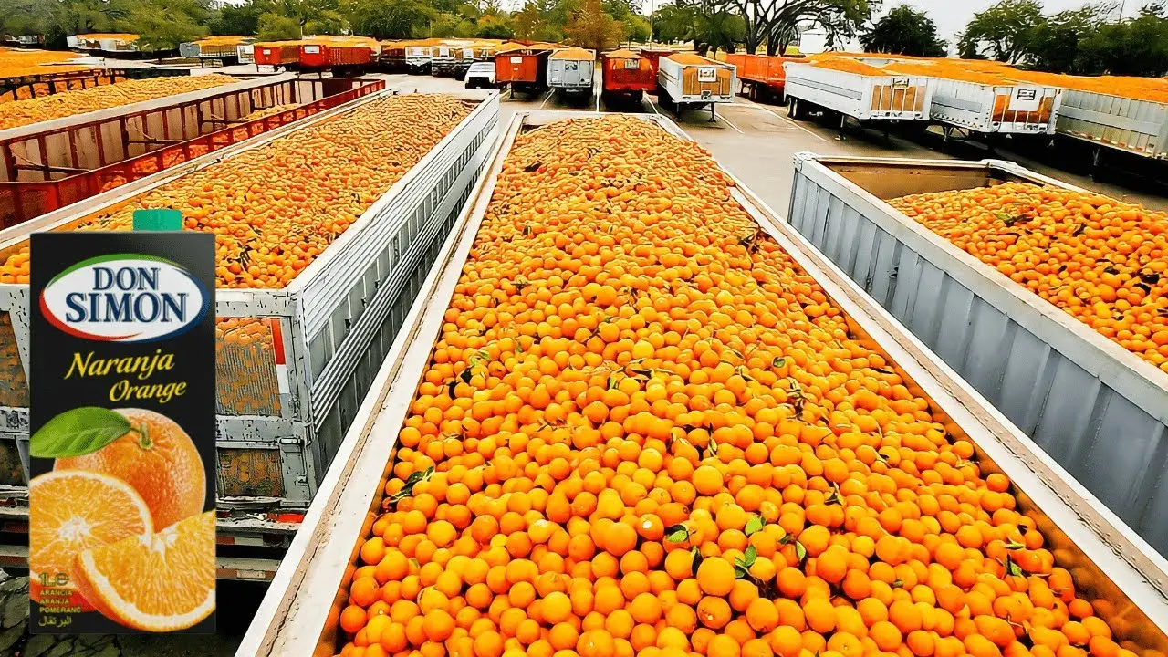 Fábrica de jugo de naranja: una deliciosa y saludable opción - Cuál es la materia prima del jugo de naranja fabrica de jugo de naranja - Cuál es la materia prima del jugo de naranja