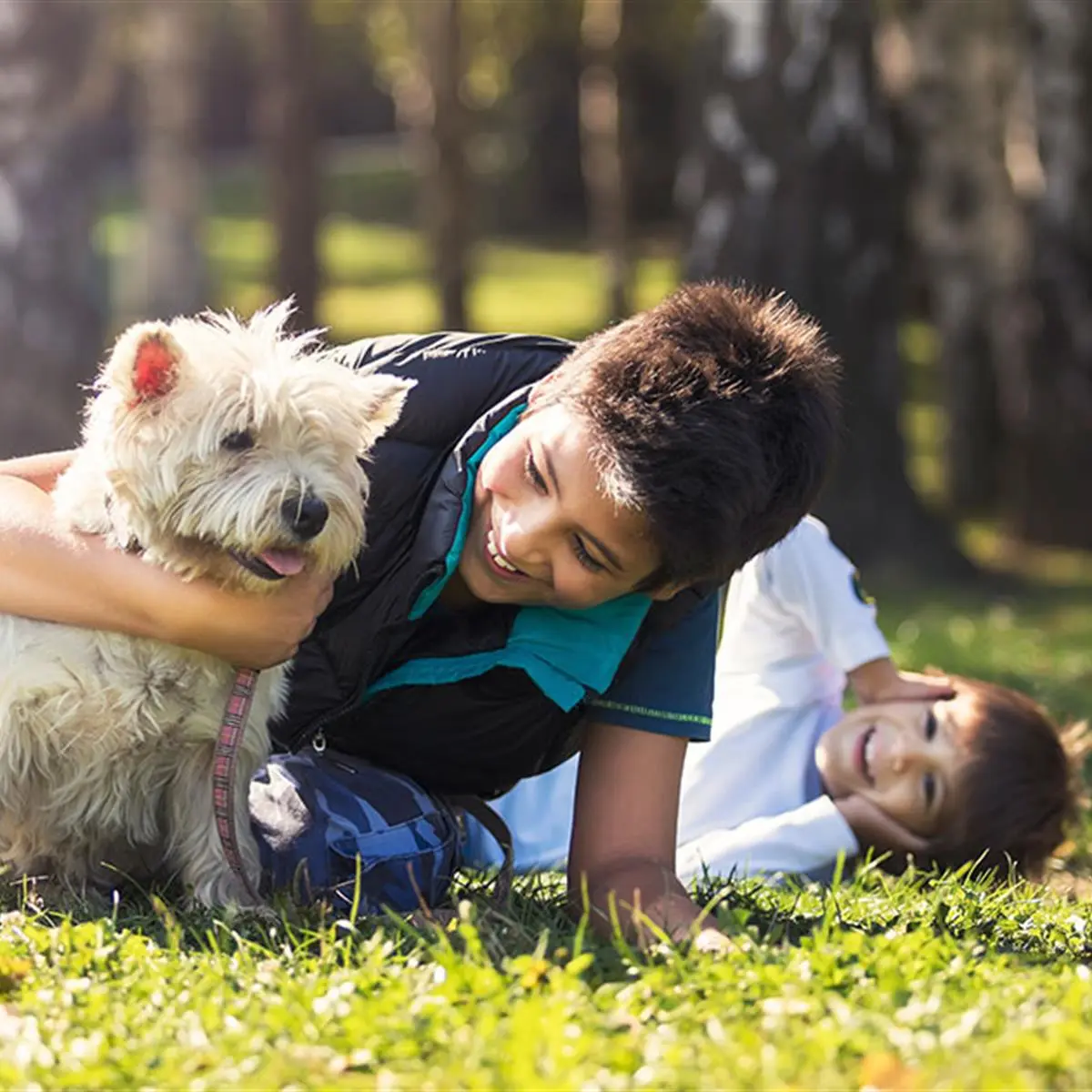 Niños jugando con sus mascotas: la importancia de esta relación - Cuál es la mejor edad para que un niño tenga una mascota niños jugando con sus mascotas - Cuál es la mejor edad para que un niño tenga una mascota