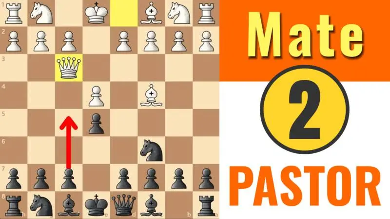 cuales son las jugadas del ajedrez - Cuántas jugadas son posibles en el ajedrez