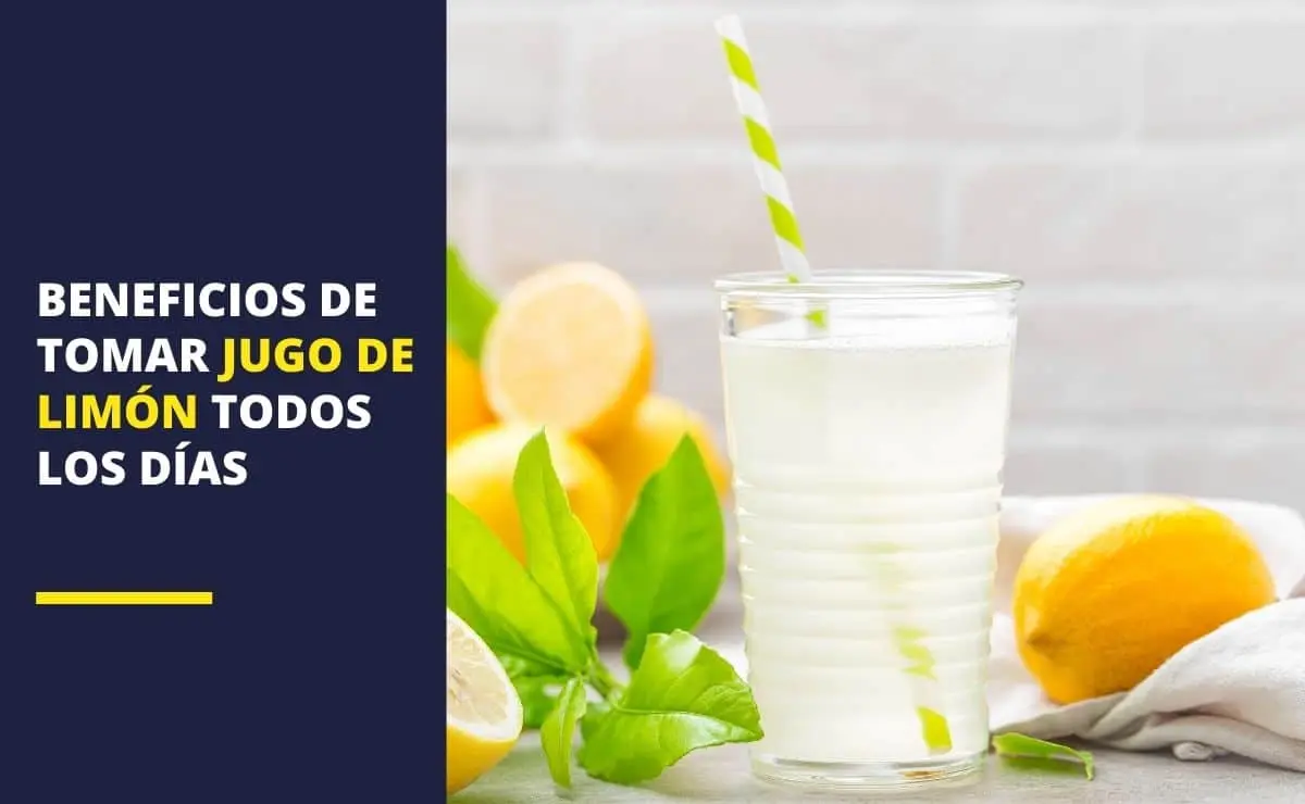 cuanto jugo de limon se puede tomar por dia - Cuántas veces puedo tomar agua con limón