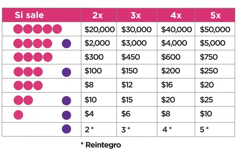 Cuánto cuesta jugar al Loto Plus - Cuánto cuesta boleta Loto cuanto cuesta jugar al loto plus - Cuánto cuesta boleta Loto