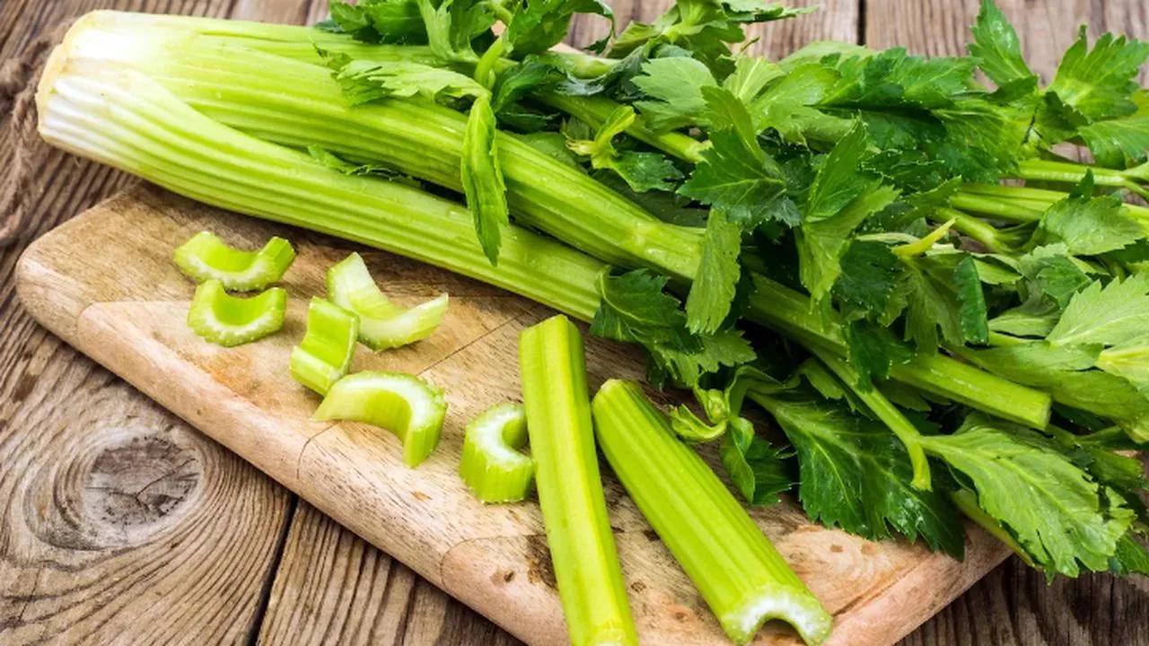 Beneficios del jugo de apio para la salud - Cuánto tiempo se debe tomar el jugo de apio beneficios del jugo de apio - Cuánto tiempo se debe tomar el jugo de apio