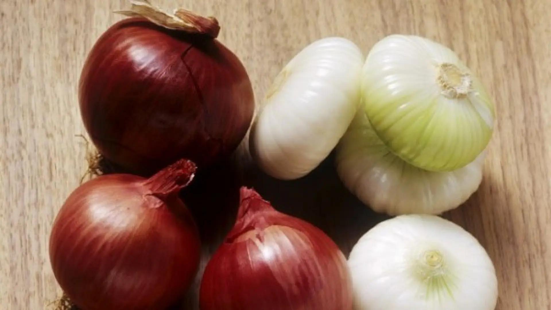 Cuánto tiempo dura el jugo de cebolla en el refrigerador - Cuánto tiempo se puede dejar la cebolla en agua cuanto dura el jugo de cebolla - Cuánto tiempo se puede dejar la cebolla en agua