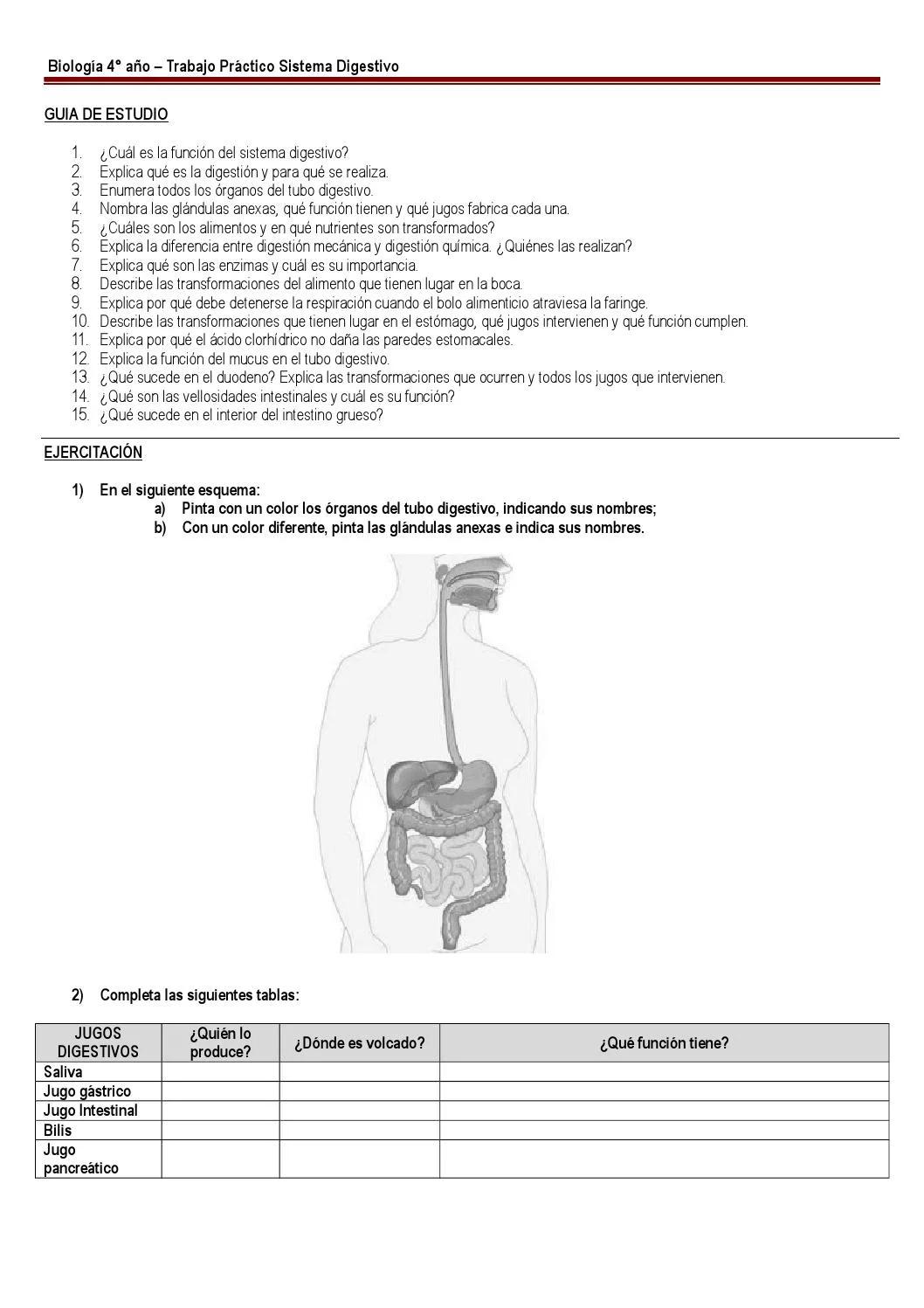 Dónde se vuelca el jugo pancreático - Dónde se vierte el jugo pancreático donde es volcado el jugo pancreatico - Dónde se vierte el jugo pancreático