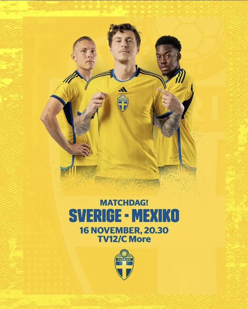 Cuándo juega Suecia: Información sobre el próximo partido - Dónde ver Argentina vs Suecia cuando juega suecia - Dónde ver Argentina vs Suecia