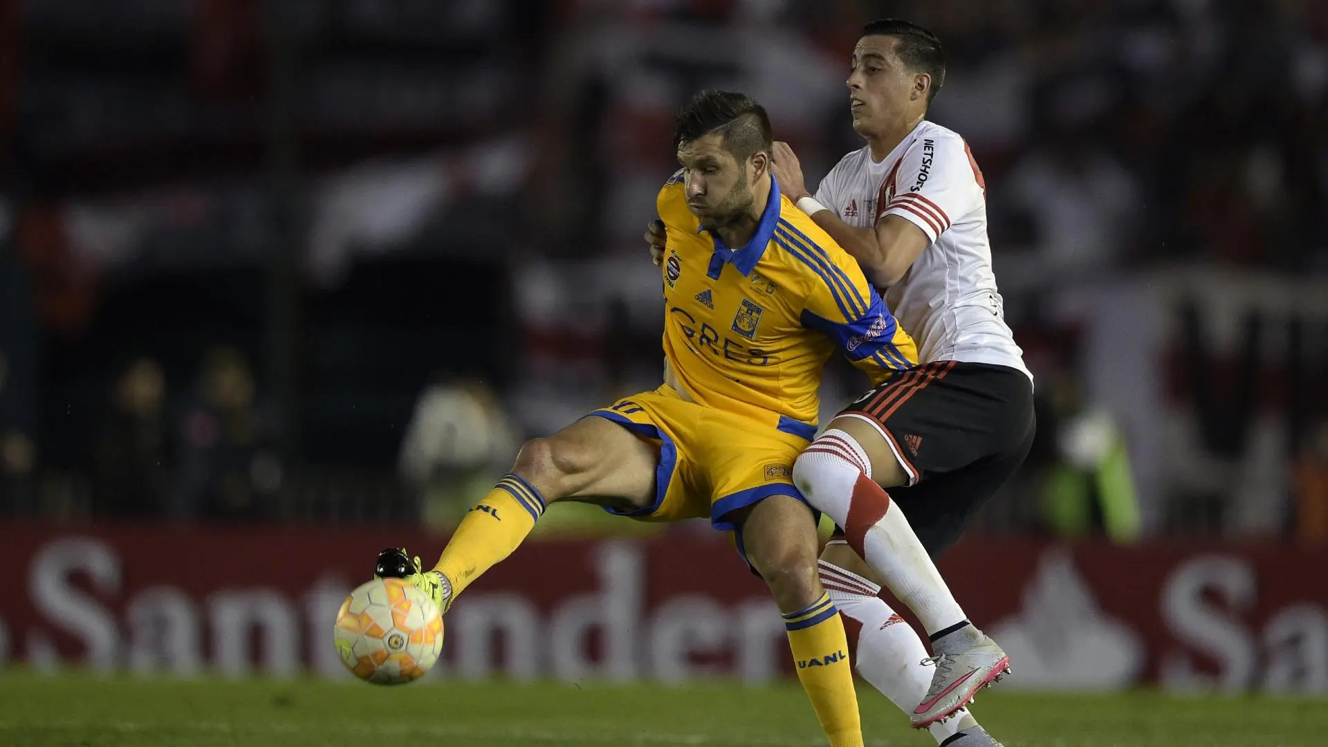 Por qué Tigres juega la Copa Libertadores - Por qué ya no juegan equipos mexicanos en la Libertadores porque tigres juega la libertadores - Por qué ya no juegan equipos mexicanos en la Libertadores