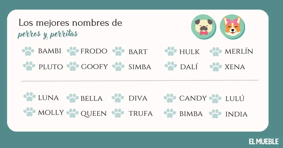 nombres para mascotas en juegos - Qué apodo le puedo poner a mi mascota
