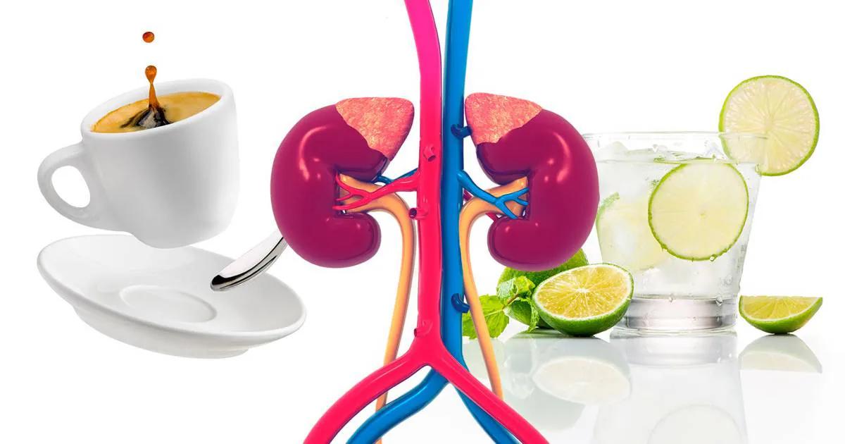 Jugos para limpiar los riñones: una forma natural de cuidar tu salud renal - Qué bebida limpia el riñón jugos para limpiar los riñones - Qué bebida limpia el riñón