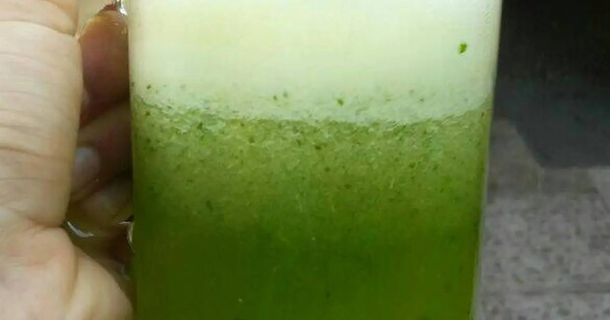 Jugo de pepino, apio y naranja: beneficios y propiedades - Qué beneficios tiene el jugo de naranja con pepino jugo de pepino apio y naranja - Qué beneficios tiene el jugo de naranja con pepino