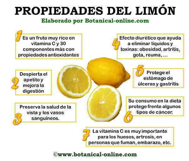 composicion del jugo de limon - Qué cantidad de ácido cítrico tiene un limón