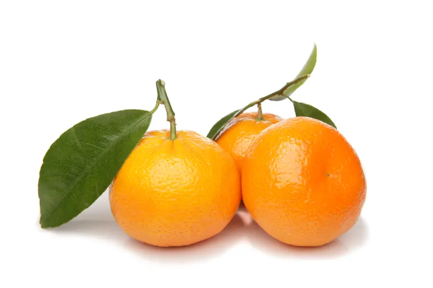 para que es bueno el jugo de mandarina - Qué contiene la mandarina y para qué sirve