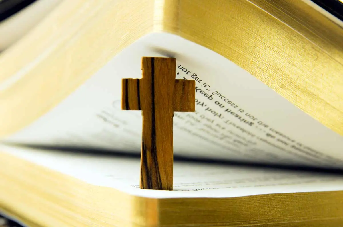 Juegos catequesis para niños primera comunión - Que enseñarles a los niños de Primera Comunión juegos catequesis para niños primera comunion - Que enseñarles a los niños de Primera Comunión