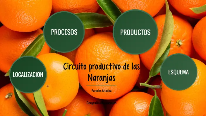 El Circuito Productivo del Jugo de Naranja para Niños - Qué es el proceso productivo para niños circuito productivo del jugo de naranja para niños - Qué es el proceso productivo para niños