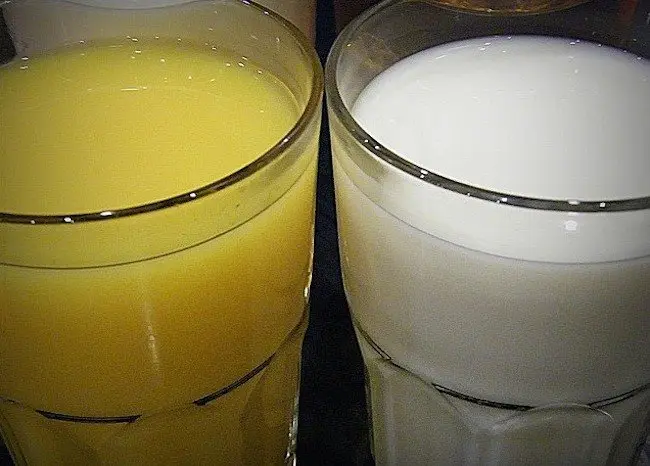 Leche con jugo de naranja: ¿Para qué sirve esta combinación? - Qué es mejor la leche o el zumo de naranja leche con jugo de naranja para que sirve - Qué es mejor la leche o el zumo de naranja