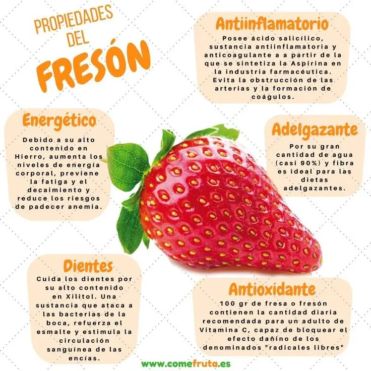Beneficios del jugo de frutilla para la salud - Qué hace la frutilla en nuestro cuerpo beneficios de jugo de frutilla - Qué hace la frutilla en nuestro cuerpo