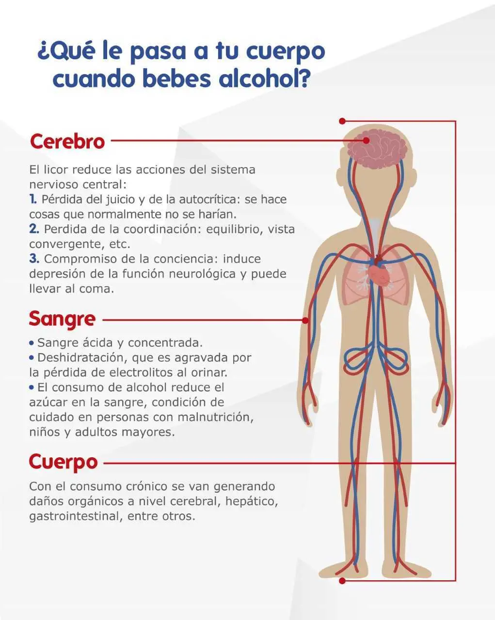 que pasa si tomo alcohol etilico con jugo - Qué hacer en caso de ingesta de alcohol etílico