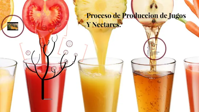Elaboración de jugos y néctares - Que insumos se utilizan para elaborar los néctares elaboracion de jugos y nectares - Que insumos se utilizan para elaborar los néctares