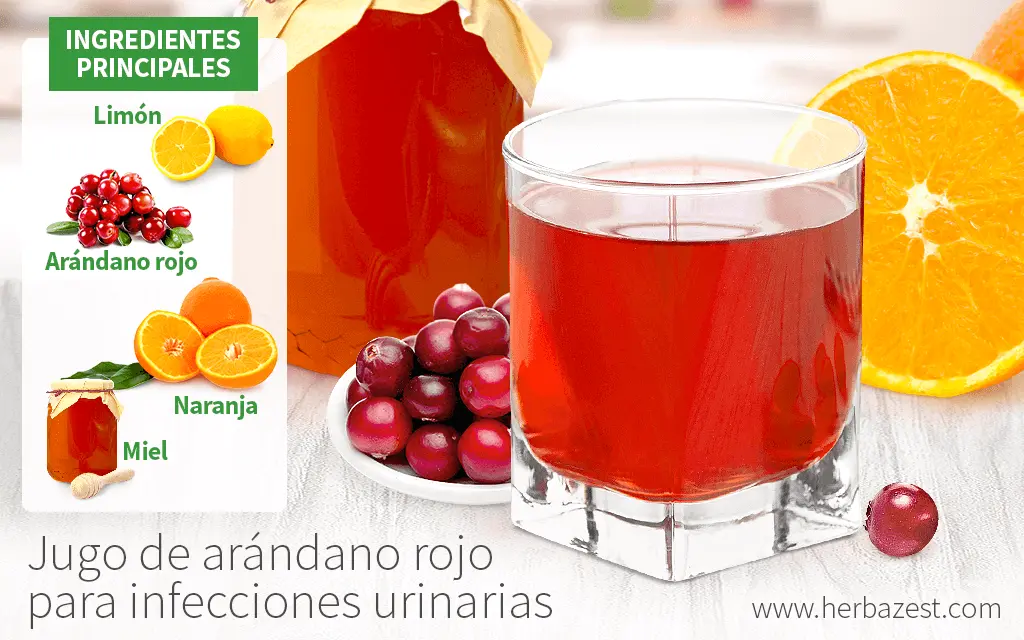 Jugo para infección urinaria: una solución natural para aliviar y prevenir - Que jugó Es bueno para las vías urinarias jugo para infeccion urinaria - Que jugó Es bueno para las vías urinarias