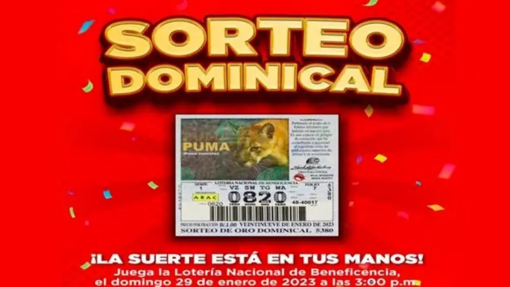 ¿Qué lotería se juega el domingo? - Qué lotería hay el domingo que loteria juega el domingo - Qué lotería hay el domingo