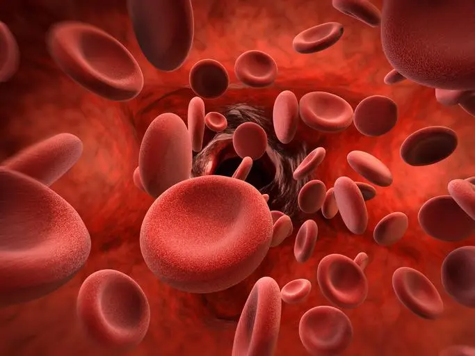 Jugos para bajar la hemoglobina glicosilada de forma natural - Que no se debe comer cuando se tiene la hemoglobina alta jugos para bajar la hemoglobina glicosilada - Que no se debe comer cuando se tiene la hemoglobina alta